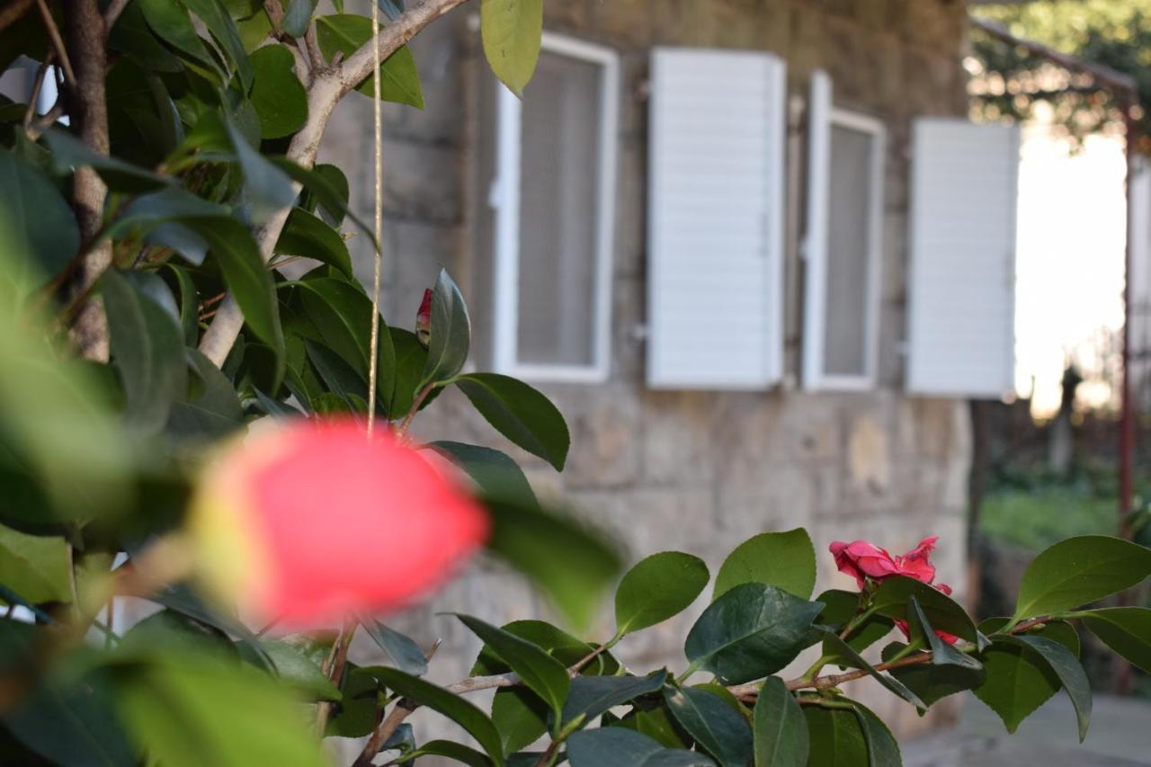 Old Town Studios Budva Exterior foto